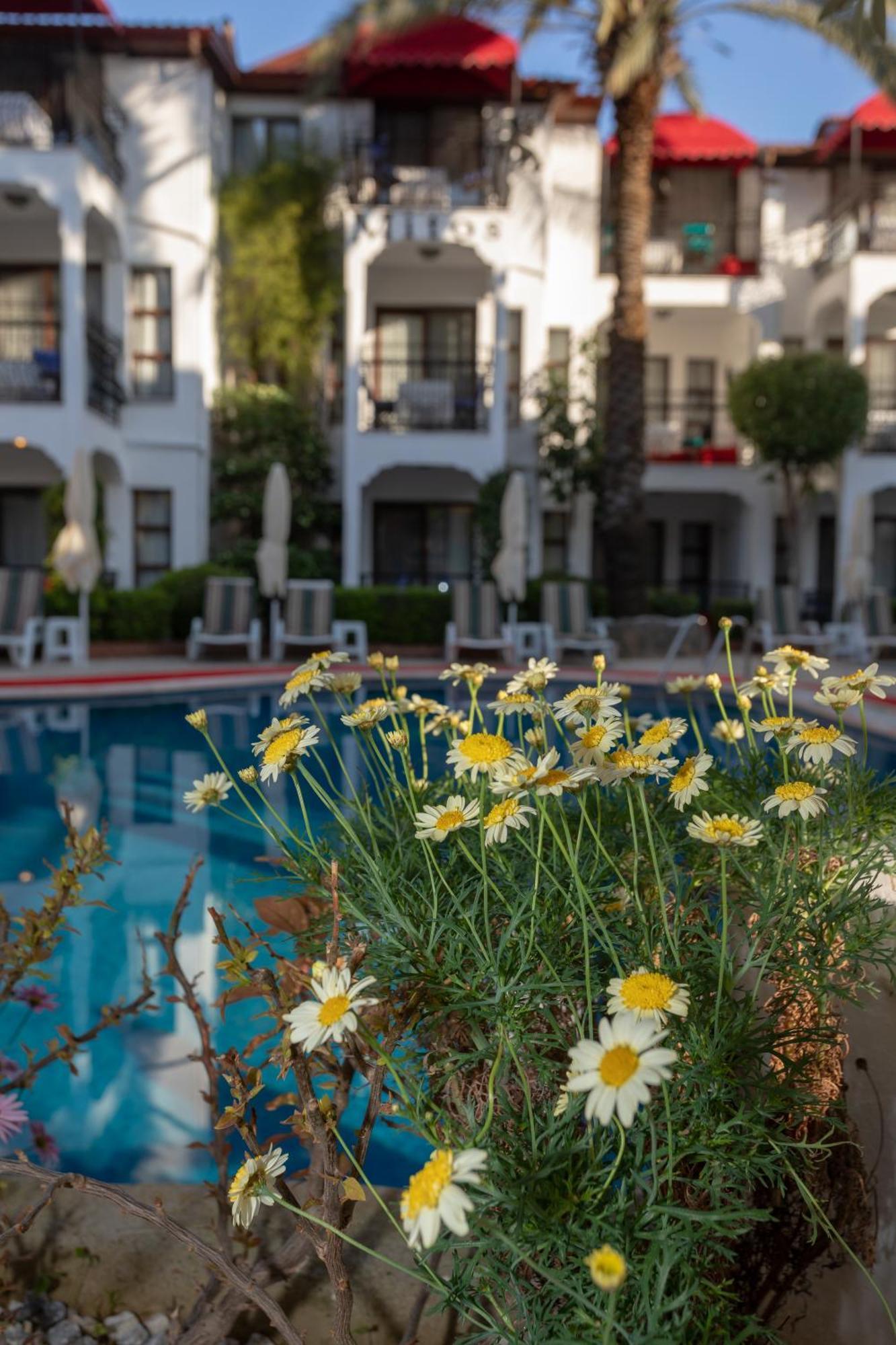 Mitos Apartments Marmaris Exterior photo